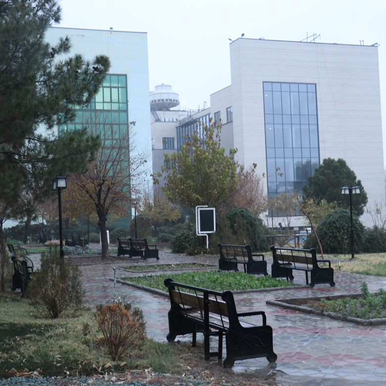 دانشگاه